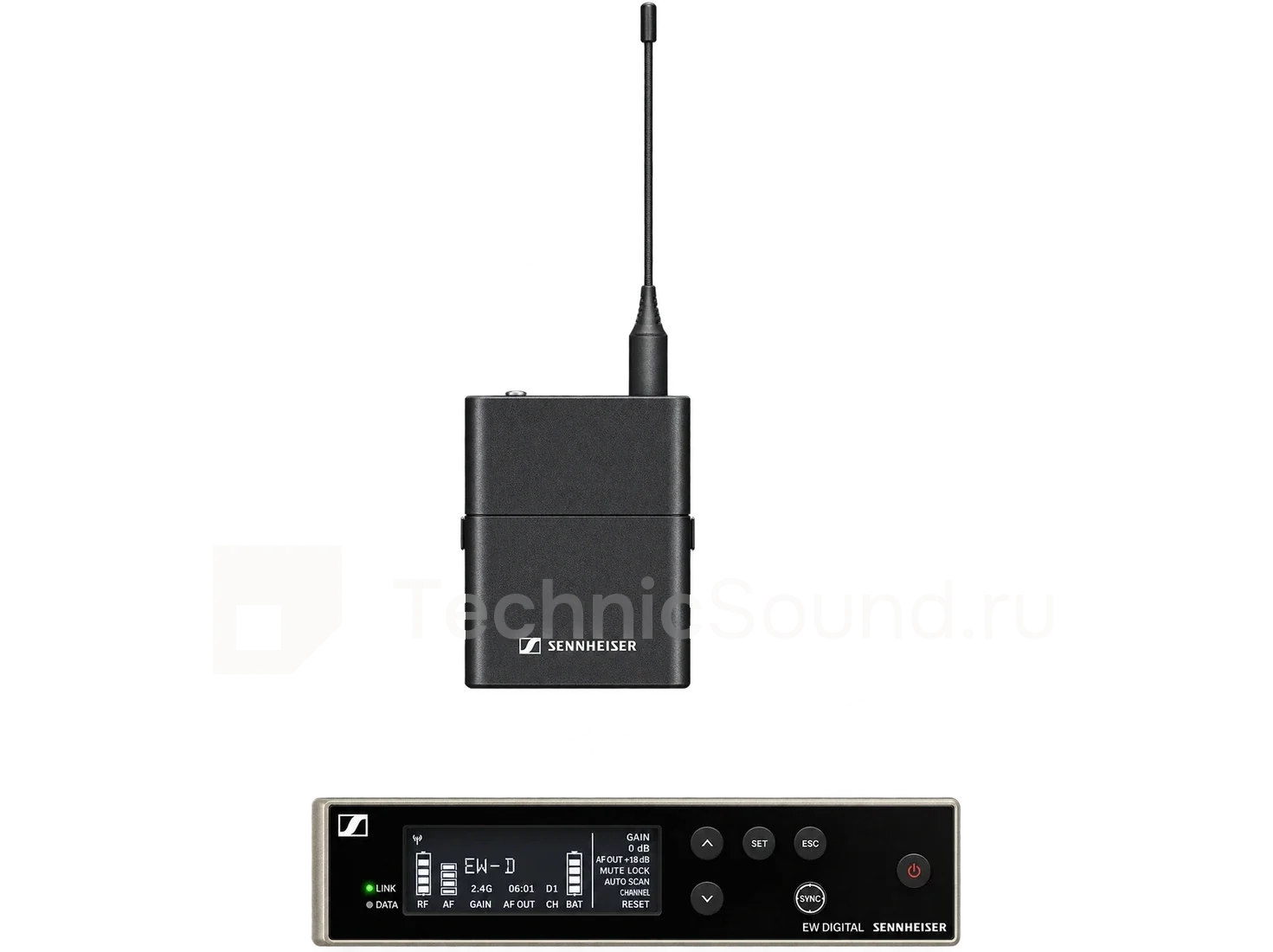 Аренда Sennheiser EW-D SK — поясная радиосистема