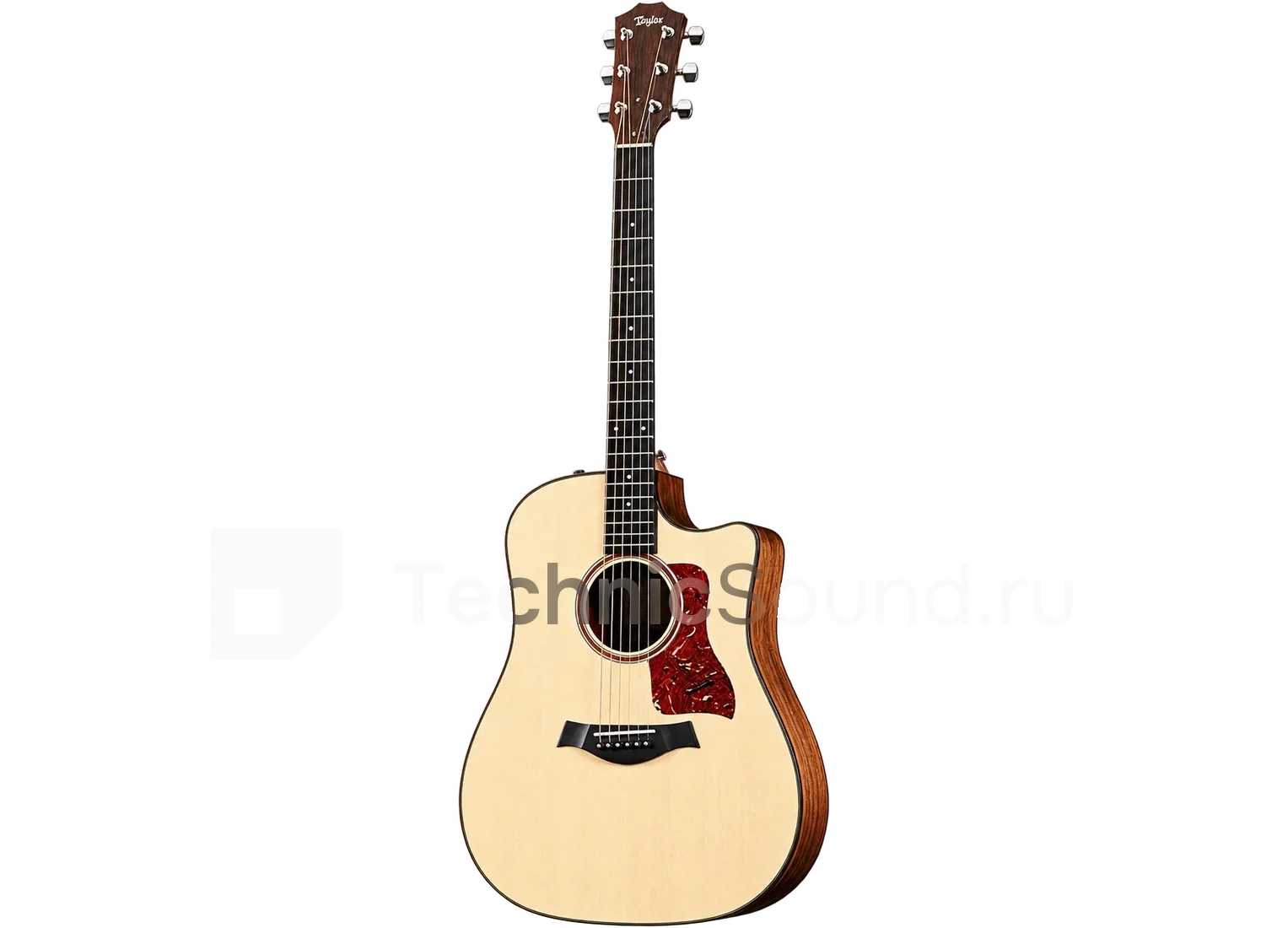 Аренда Taylor 510ce LTD — гитара